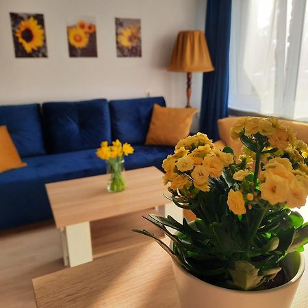 Apartament Baltycka Sardynka อุสตกา ภายนอก รูปภาพ