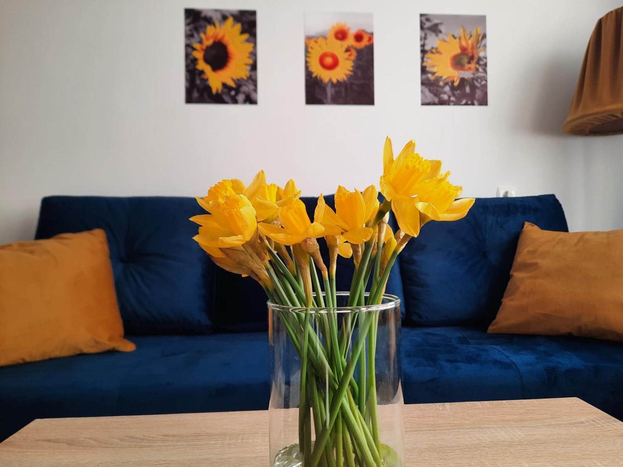 Apartament Baltycka Sardynka อุสตกา ภายนอก รูปภาพ