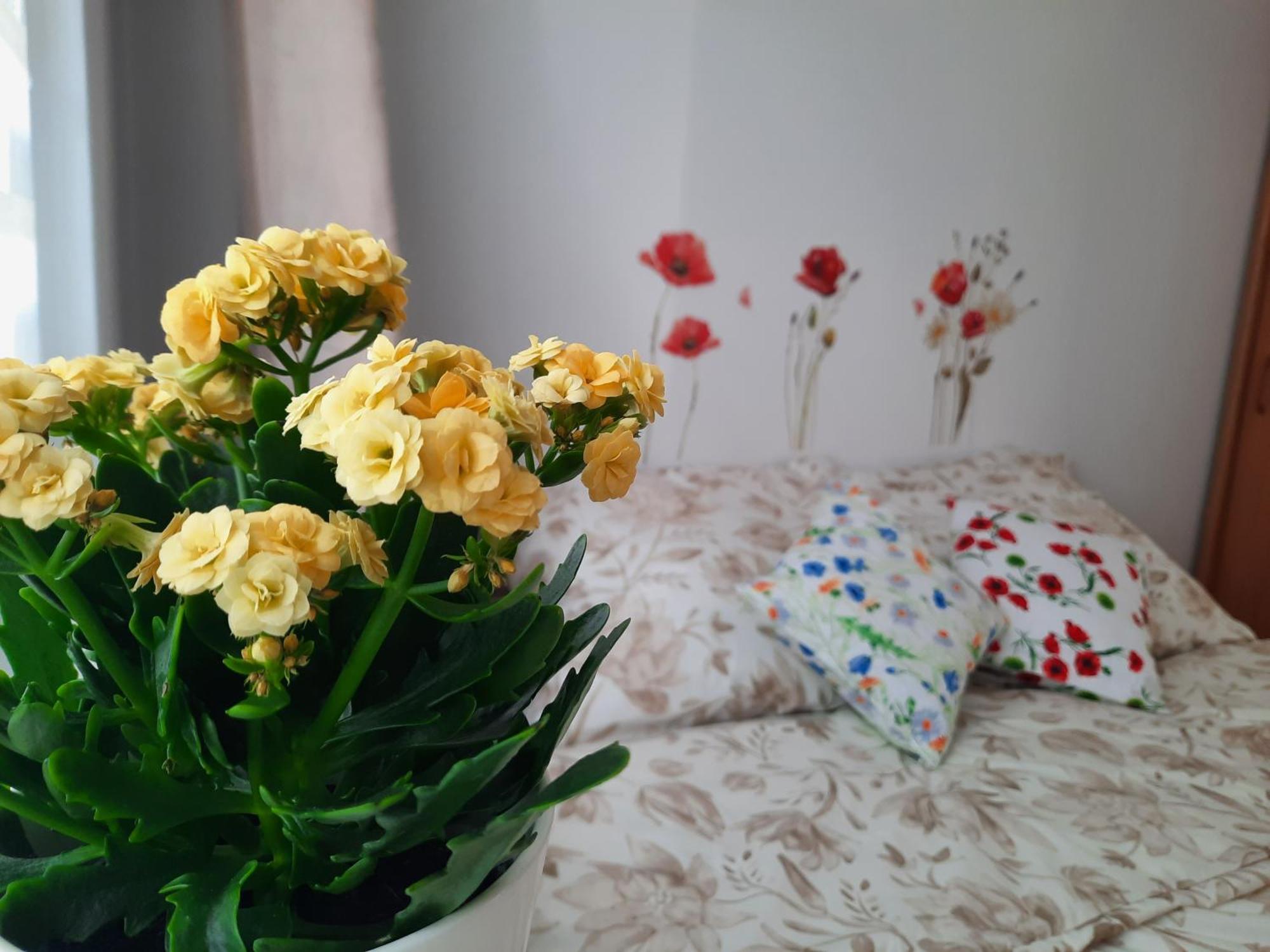 Apartament Baltycka Sardynka อุสตกา ภายนอก รูปภาพ